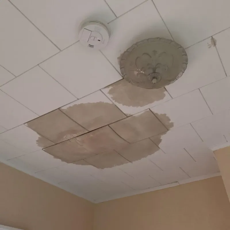 Ceiling Water Damage Repair in Westwood, MA